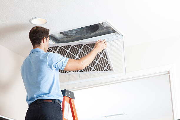 Best Air Filters and Purifiers in Coon Rapids, MN